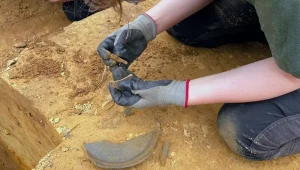 70 main v1762610709 Економічні новини - головні новини України та світу