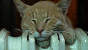 727bd8a10d9516736bea4ce51f856088 Економічні новини - головні новини України та світу