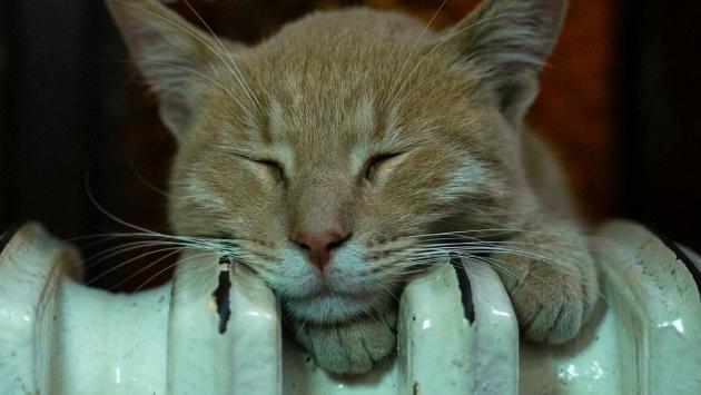 727bd8a10d9516736bea4ce51f856088 Економічні новини - головні новини України та світу