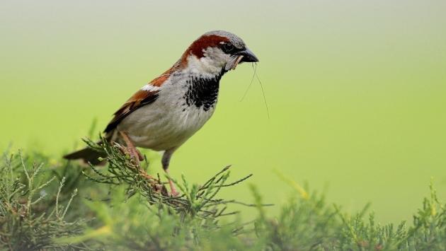 82a5dcd252f46303dbb27adb3268c004 Економічні новини - головні новини України та світу