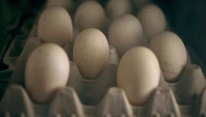 832d492416e3b82471896d3de2af8e7e 1 Економічні новини - головні новини України та світу