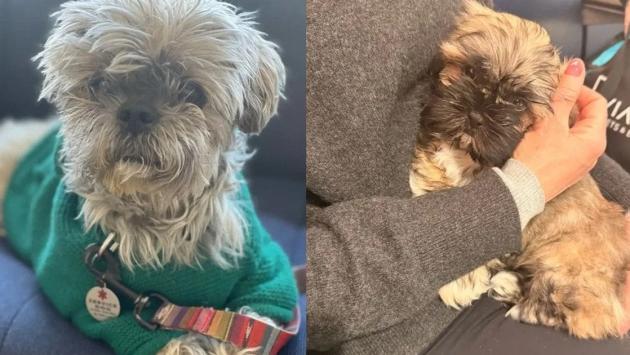 8c3b08a2617faf4a47b3cc6dfd5b3877 Економічні новини - головні новини України та світу