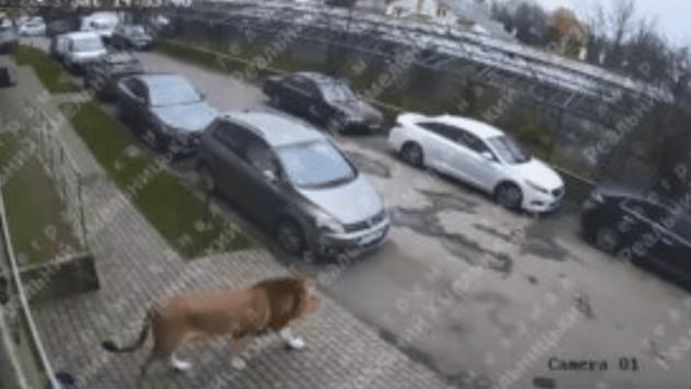 981ab9d26bef01b73e37a98bbce3b97e Економічні новини - головні новини України та світу