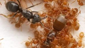 9 main v1763762623 Економічні новини - головні новини України та світу