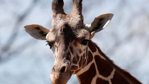 9b4865479c74ca99f4ed83c254c00f92 Економічні новини - головні новини України та світу