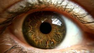 9ec6a3541652a2a5d7aed26fd4906508 Економічні новини - головні новини України та світу