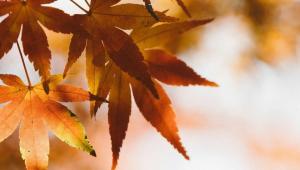 9f49c20c18e0d8cdccf60ac551f0996a 1 Економічні новини - головні новини України та світу