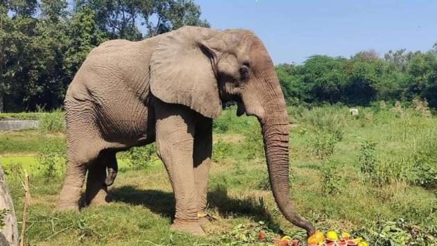 ae4psm6t lwdbw7f8uikqacx7l7s75q5 Економічні новини - головні новини України та світу