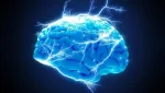 brain electricity seizures mozg Економічні новини - головні новини України та світу
