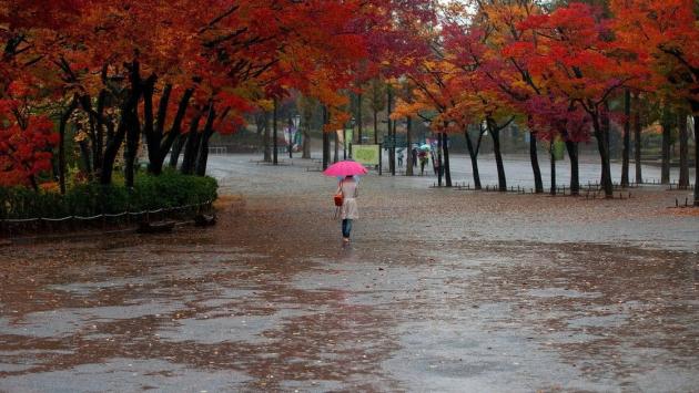 c12f0be4de3541d80df689fb86b4b99f Економічні новини - головні новини України та світу