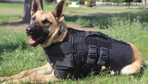 c37aa5yjhfiawmy0rjvrvlel0yx2jcfg Економічні новини - головні новини України та світу