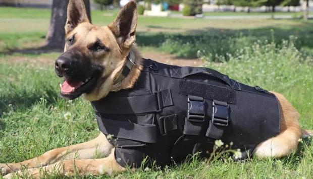 c37aa5yjhfiawmy0rjvrvlel0yx2jcfg Економічні новини - головні новини України та світу