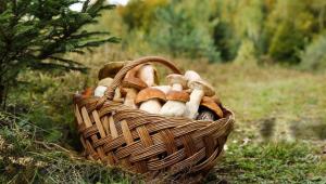 d3cd5eba067c09d37b5538152aabcc12 Економічні новини - головні новини України та світу