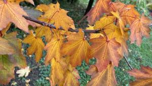 deec71a0 918d 41ee 83ee 36a3b957 Економічні новини - головні новини України та світу