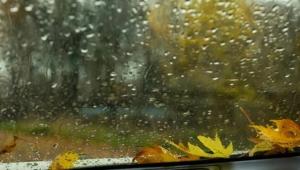 depositphotos624524266 stock pho Економічні новини - головні новини України та світу