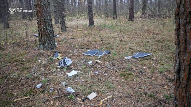 dron Економічні новини - головні новини України та світу