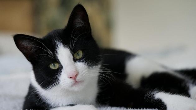 f1b32756fa768a80dba10a7746c93e36 Економічні новини - головні новини України та світу