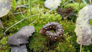 f2da7aade690363b9240f946e7bcc0aa Економічні новини - головні новини України та світу