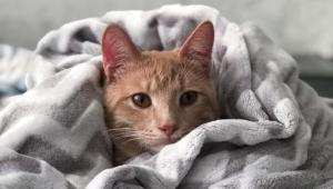 g70idqcbviqp3tb7mtmgmv4eccnnwbch Економічні новини - головні новини України та світу