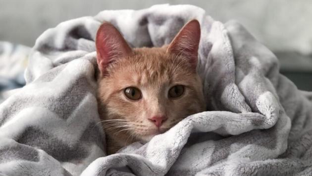 g70idqcbviqp3tb7mtmgmv4eccnnwbch Економічні новини - головні новини України та світу