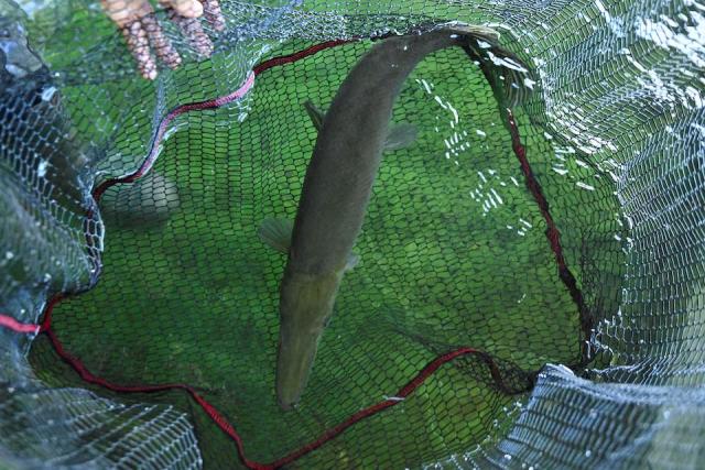 image 4 8 Економічні новини - головні новини України та світу