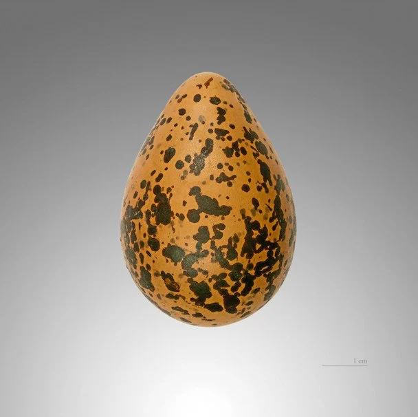 image 4 Економічні новини