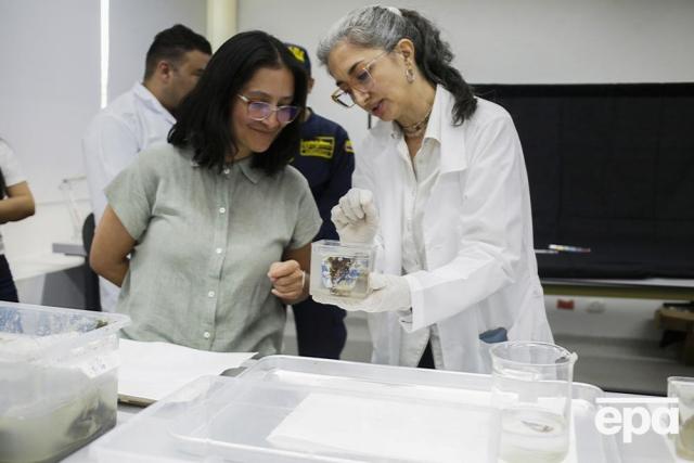 image 5 11 Економічні новини - головні новини України та світу