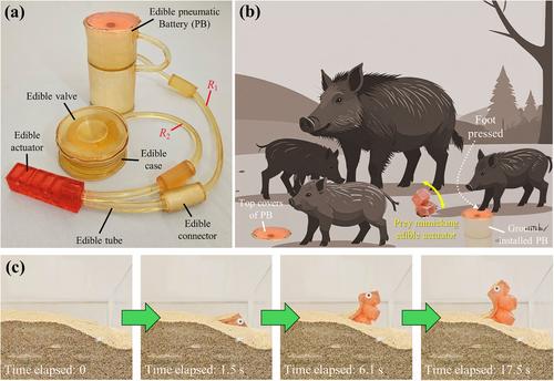 image 6 6 Економічні новини