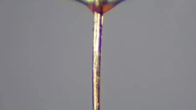 izobrazhenie viber 2025 11 20 14 21 12 558 Економічні новини - головні новини України та світу