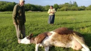 jhfewsauchrc3x24mse0xh35nar0xujo Економічні новини - головні новини України та світу