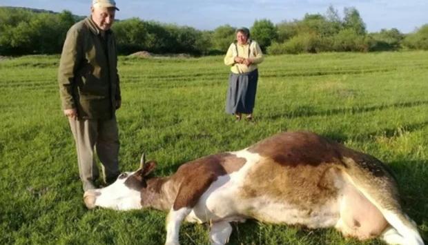 jhfewsauchrc3x24mse0xh35nar0xujo Економічні новини - головні новини України та світу