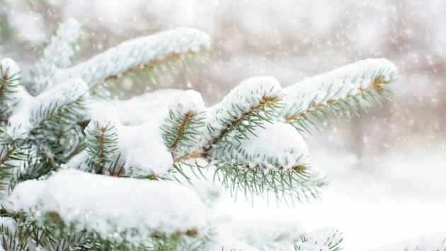 kakaya zyma budet v 2026 godu sc Економічні новини - головні новини України та світу