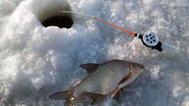 new 54777 Економічні новини - головні новини України та світу