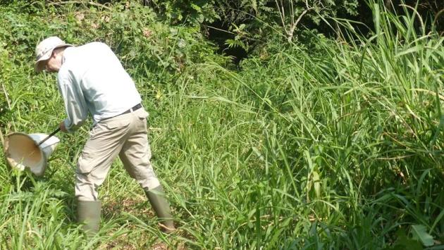 new frog like insects 4 Економічні новини - головні новини України та світу