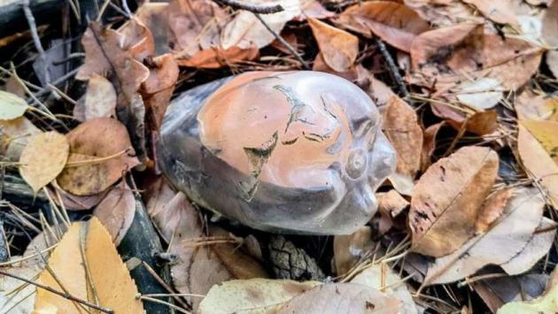 nfqa6nahjqiswgey1nfvf4oc5vabb8lc Економічні новини - головні новини України та світу