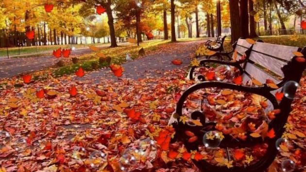 osin2 1140x570 1 Економічні новини - головні новини України та світу