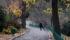 osin kii v park foto vitalii 1 Економічні новини - головні новини України та світу