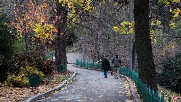 osin kii v park foto vitalii 1 Економічні новини - головні новини України та світу