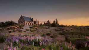 peter hammer v2ljbpvmqr8 unsplas Економічні новини - головні новини України та світу