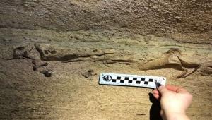 s5zpekbidm08blfkiptsamnna7rv0tty 1 Економічні новини - головні новини України та світу