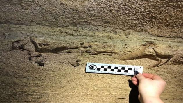 s5zpekbidm08blfkiptsamnna7rv0tty 1 Економічні новини - головні новини України та світу