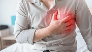 shutterstock 1131118220 Економічні новини - головні новини України та світу