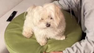 zgkm3f c1242x627x0sx0s 1853f7 Економічні новини - головні новини України та світу