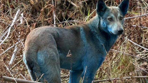 znimok ekrana 2025 11 01 195800 Економічні новини - головні новини України та світу