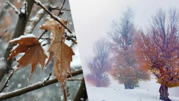 znimok ekrana 2025 11 01 o 08.25.55 Економічні новини - головні новини України та світу