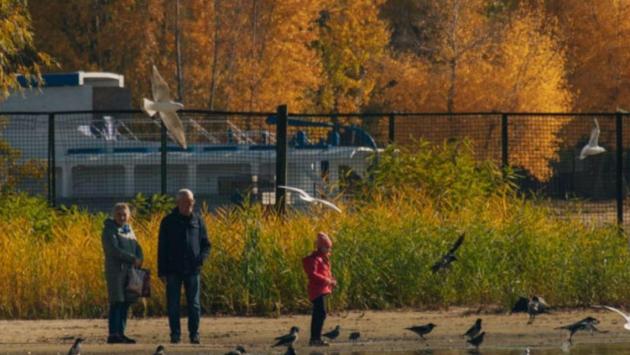 znimok ekrana 2025 11 01 o 10.41.21 Економічні новини - головні новини України та світу