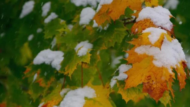 znimok ekrana 2025 11 13 o 07.18.58 Економічні новини - головні новини України та світу