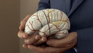 znimok ekrana 2025 11 13 o 08.23.22 Економічні новини - головні новини України та світу