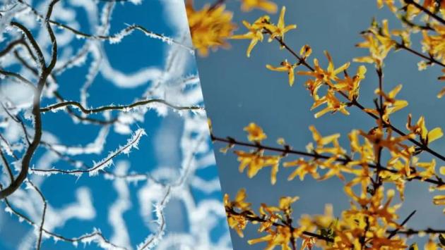 znimok ekrana 2025 11 22 o 09.27.00 Економічні новини - головні новини України та світу