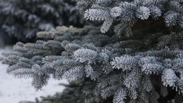 1302c98aa6bd74cd8e70c5a1473017be Економічні новини - головні новини України та світу